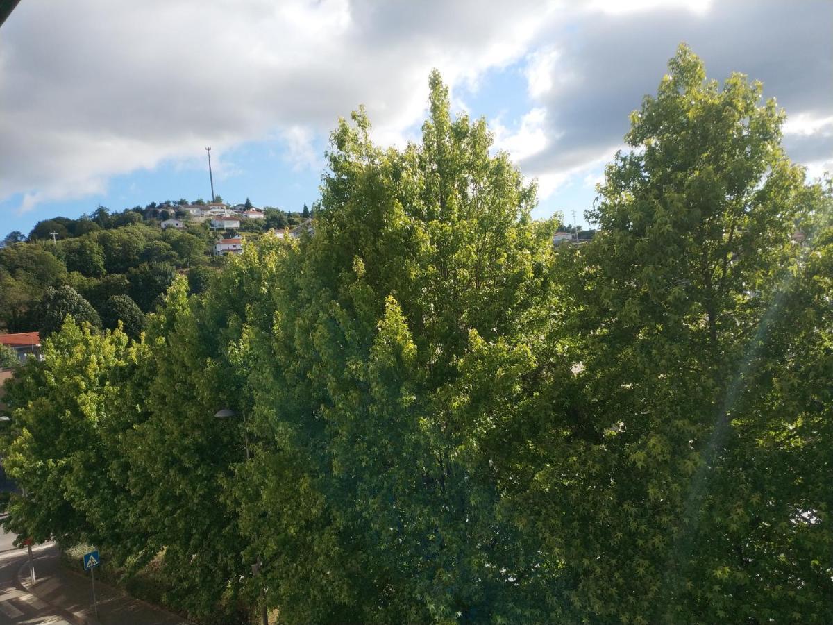 Alto Minho Central Apartment Paredes de Coura Εξωτερικό φωτογραφία
